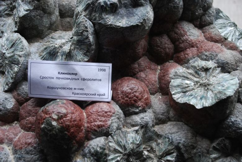 Gesteine und Mineralien im geolog. Museum